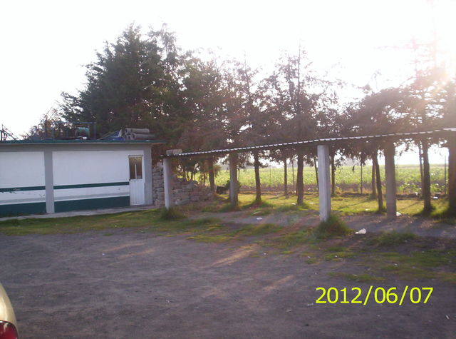 Areas Verdes
